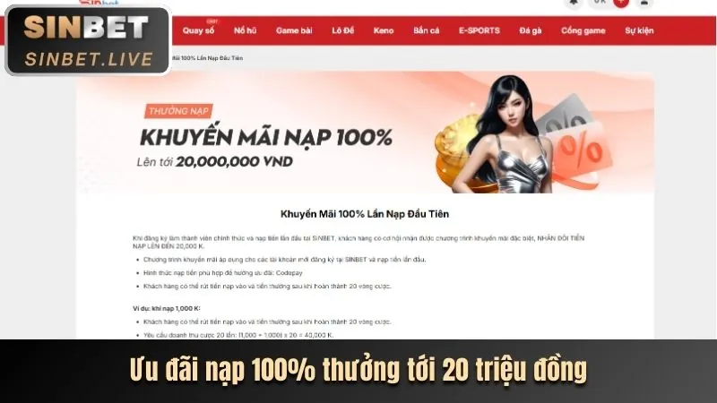 Hoàn trả cược cao hơn